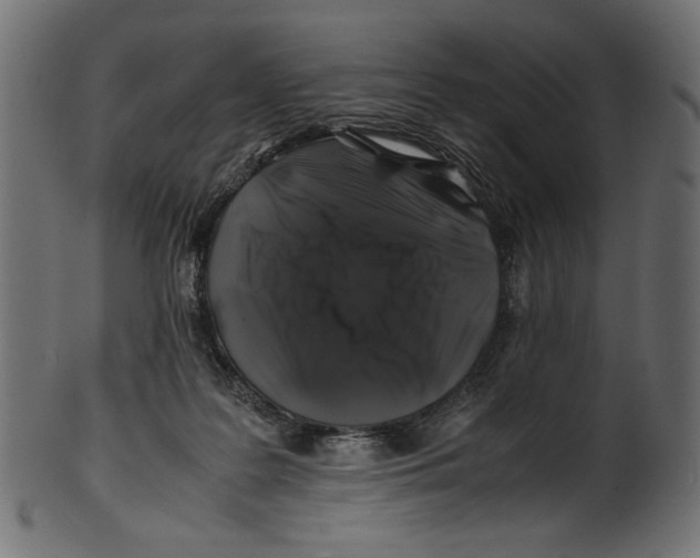 X0000100880219200807181307