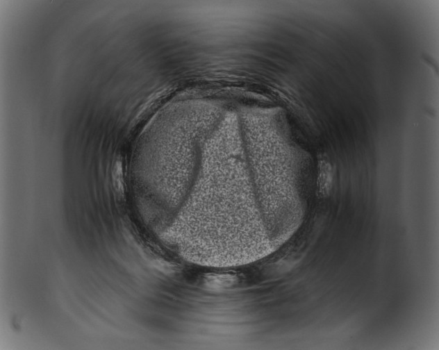 X0000100880220200807181307