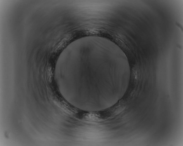 X0000100880223200807181307