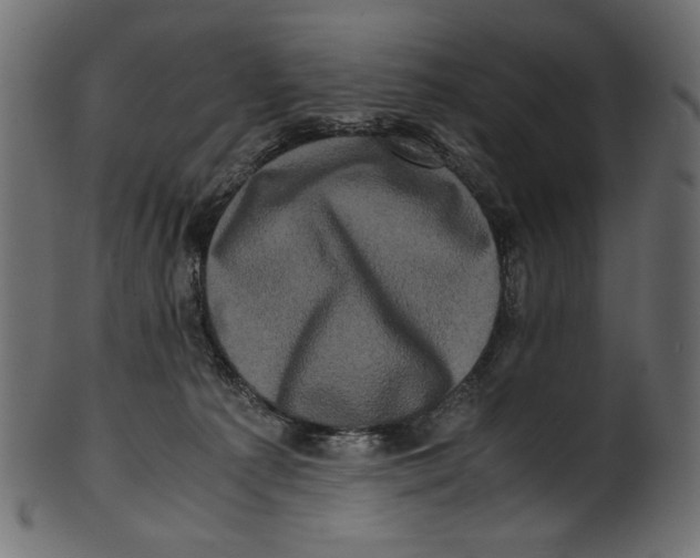 X0000100880225200807181306