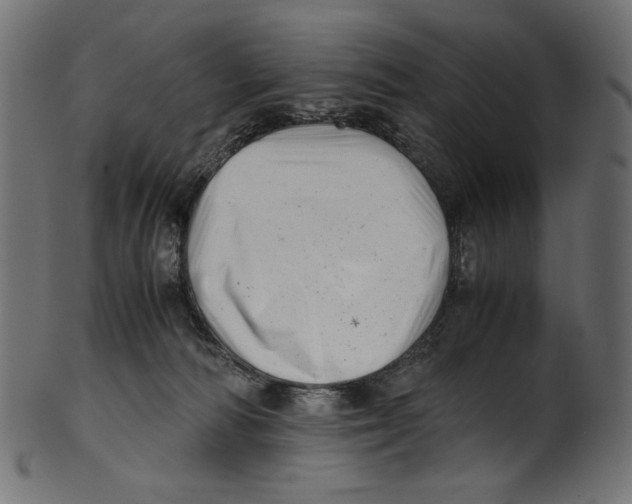 X0000100880226200807181306