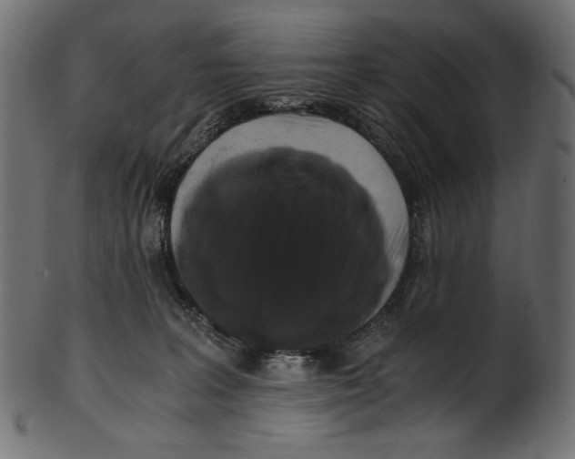 X0000100880227200807181306