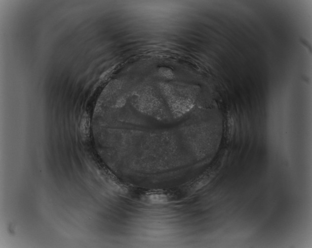 X0000100880228200807181306