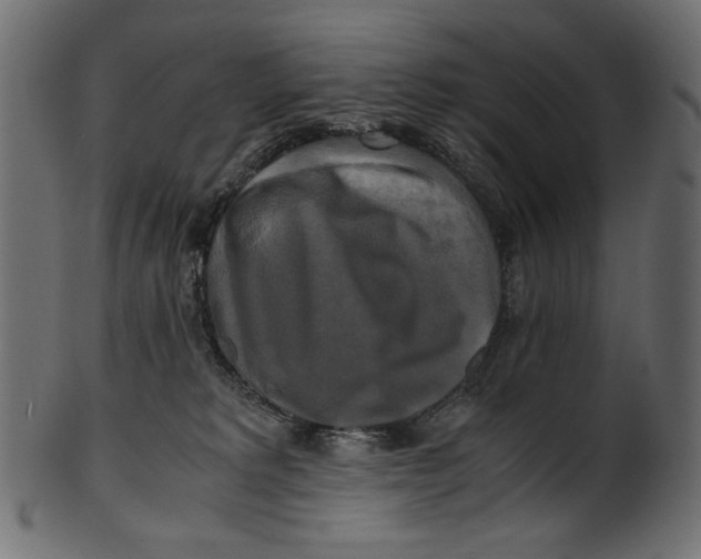 X0000100880229200807181306