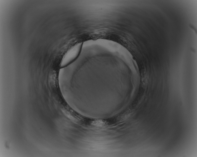 X0000100880231200807181306