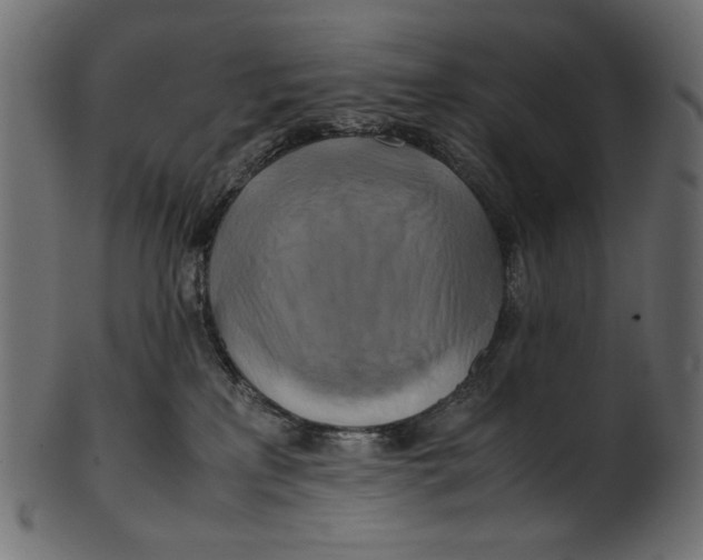 X0000100880233200807181306