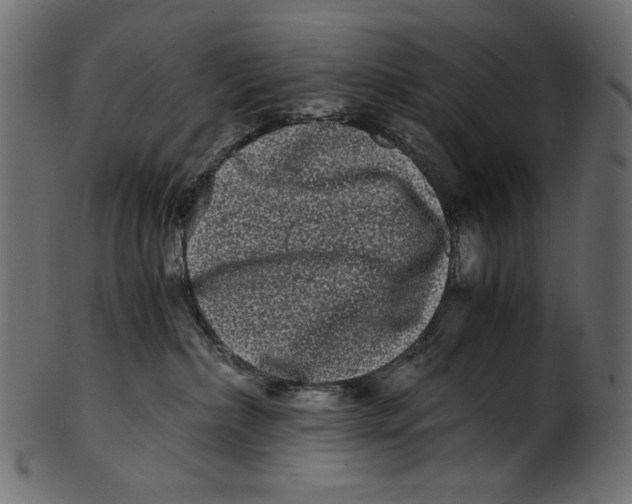 X0000100880236200807181306