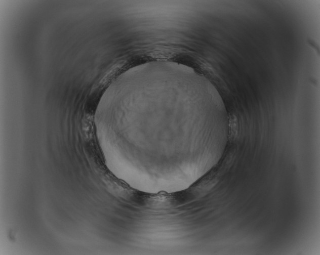 X0000100880237200807181306