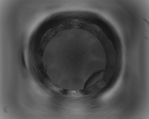 X0000100880239200807181306