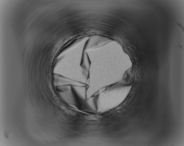 X0000100880241200807181305