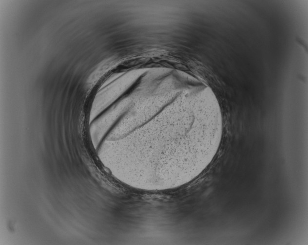 X0000100880242200807181305