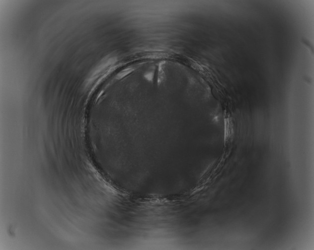 X0000100880243200807181305