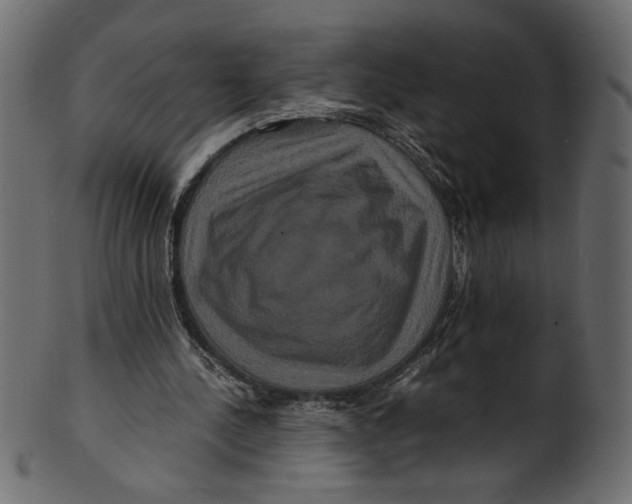 X0000100880244200807181305