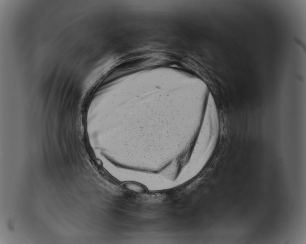 X0000100880245200807181305