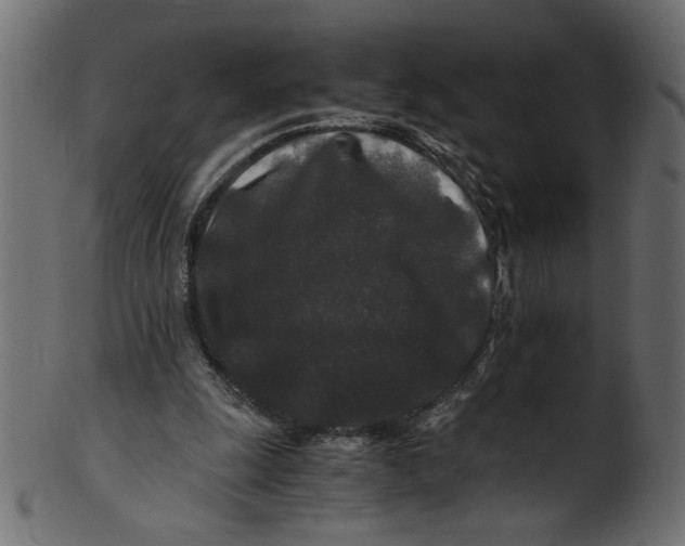 X0000100880247200807181306