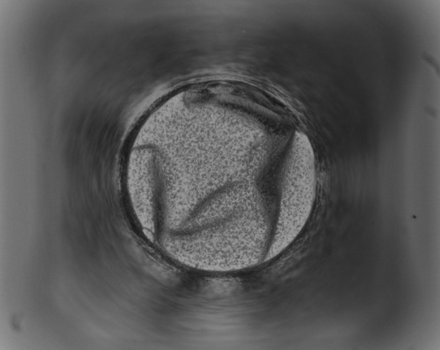 X0000100880248200807181306