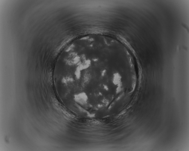 X0000100880249200807181306