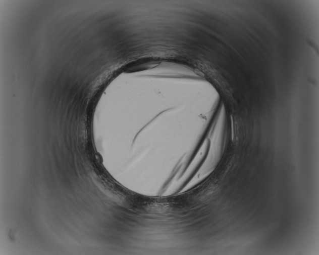 X0000100880252200807181306