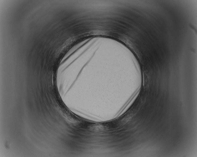 X0000100880253200807181306