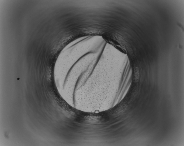 X0000100880255200807181306