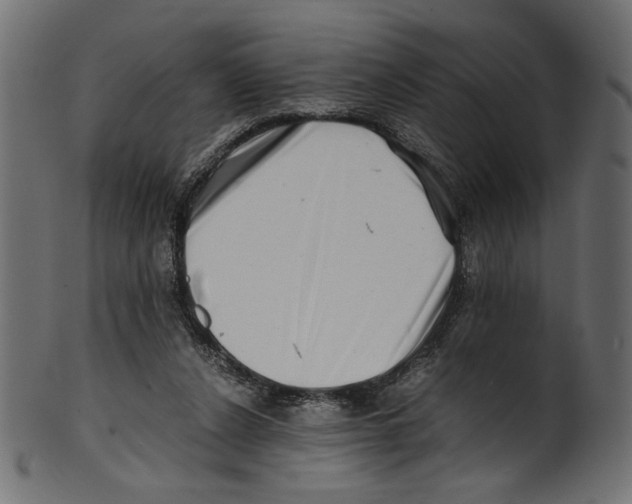 X0000100880256200807181306