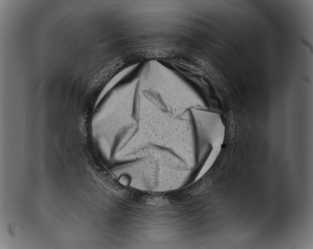 X0000100880258200807181306