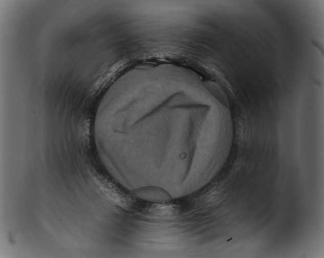 X0000100880260200807181306