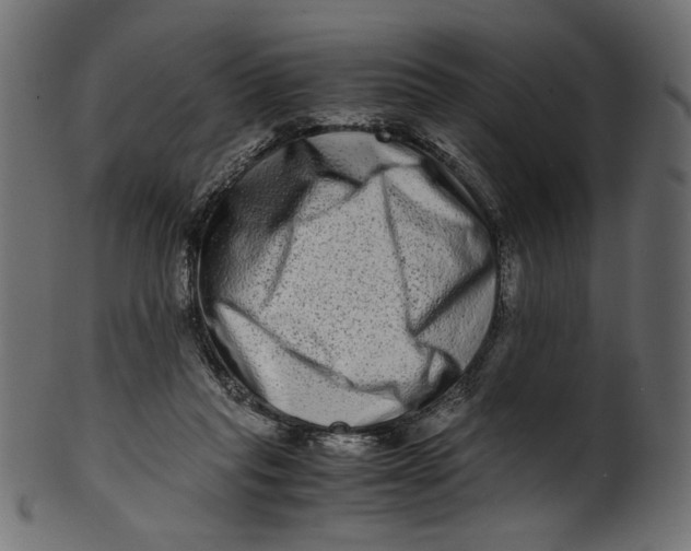 X0000100880261200807181306