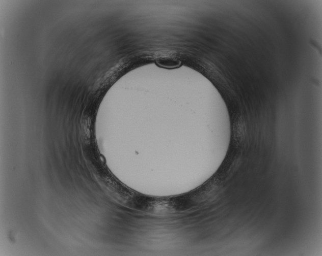 X0000100880264200807181306