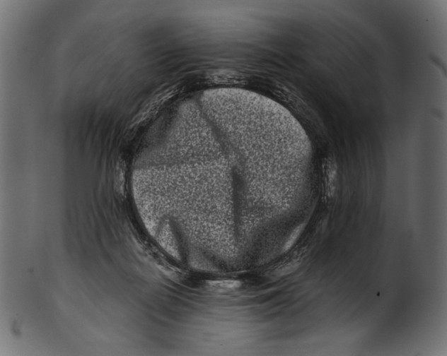 X0000100880266200807181306