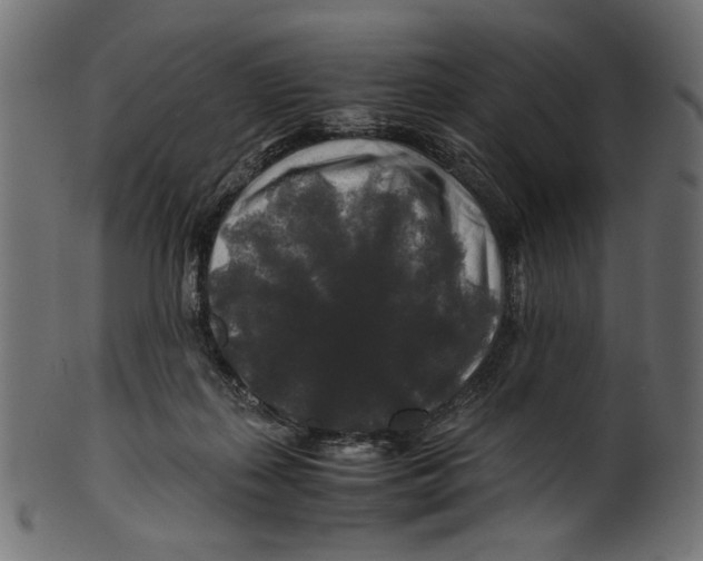 X0000100880267200807181306