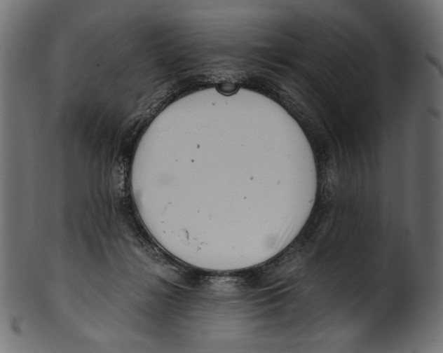 X0000100880268200807181306