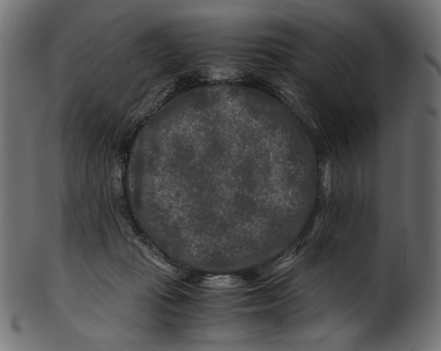 X0000100880269200807181306