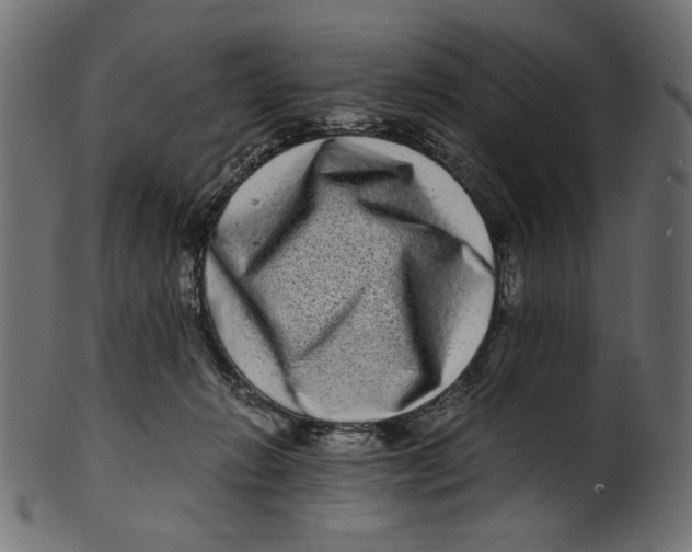 X0000100880270200807181306