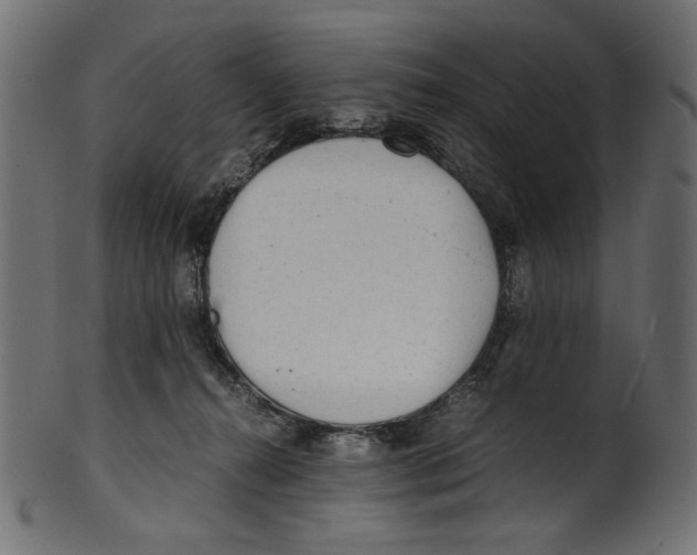 X0000100880272200807181306