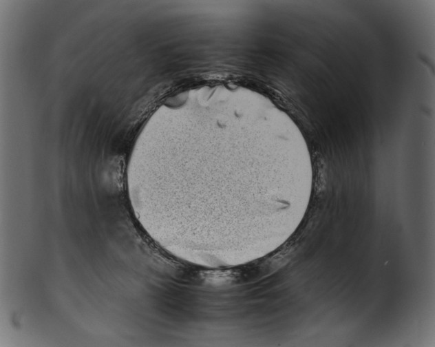 X0000100880273200807181306