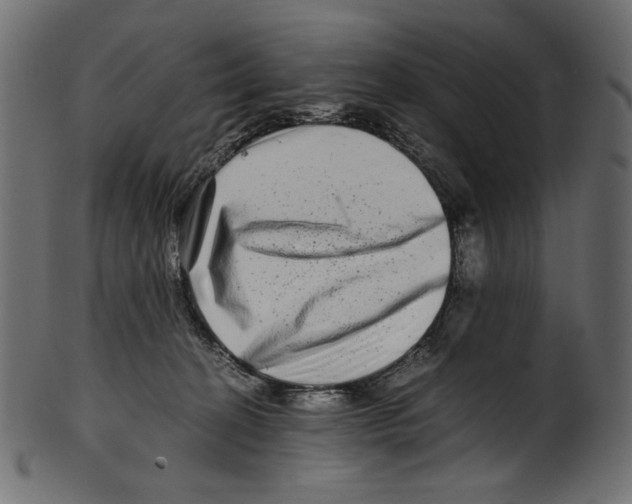 X0000100880274200807181306