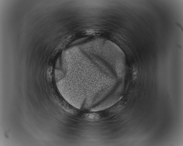 X0000100880275200807181306