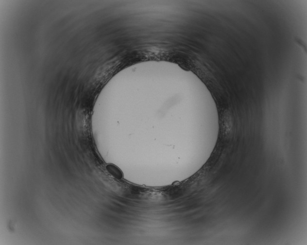 X0000100880276200807181306