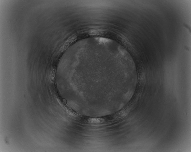 X0000100880277200807181306