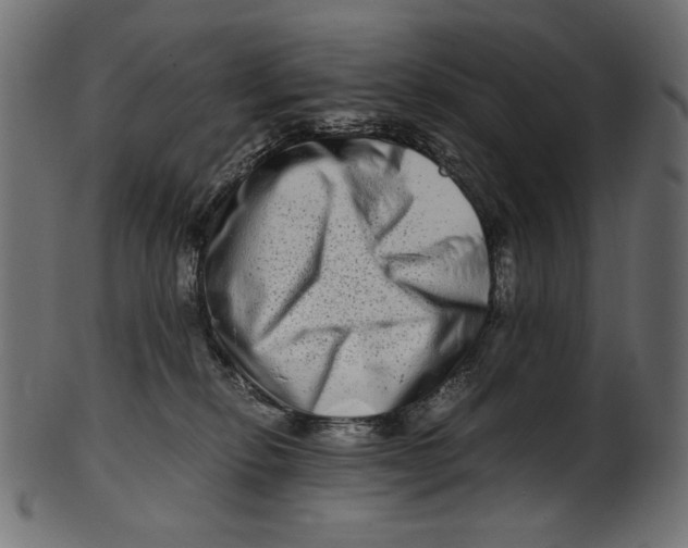 X0000100880278200807181306