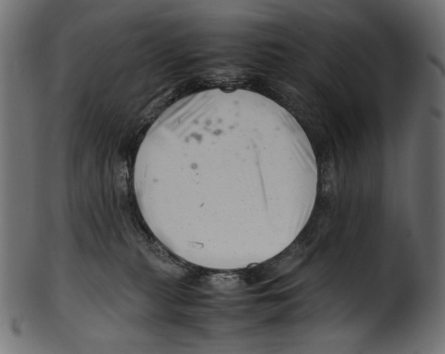 X0000100880279200807181306