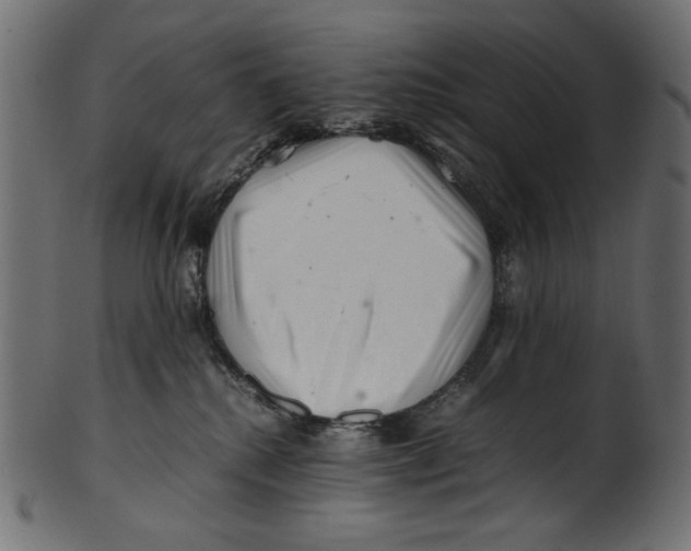 X0000100880280200807181306