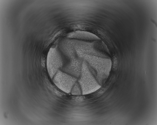 X0000100880282200807181306