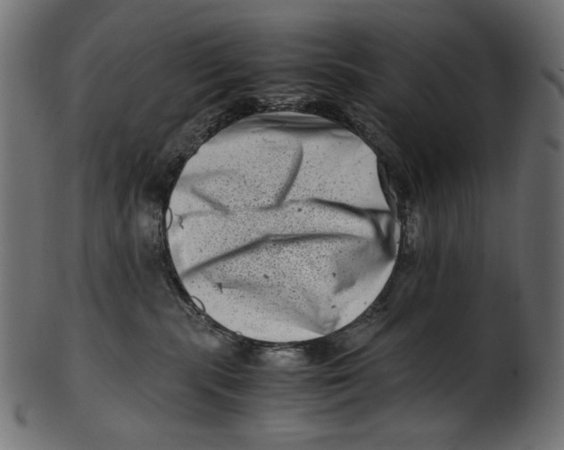 X0000100880283200807181306