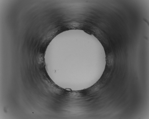 X0000100880284200807181306