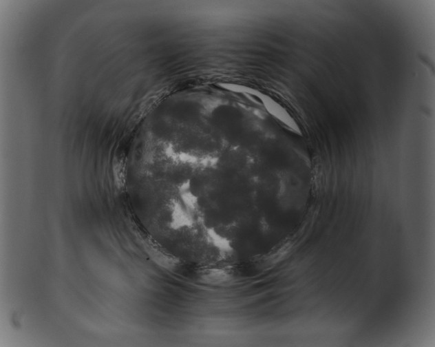 X0000100880285200807181306