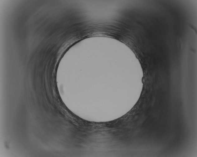 X0000100880289200807181305