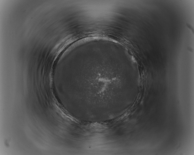 X0000100880290200807181305