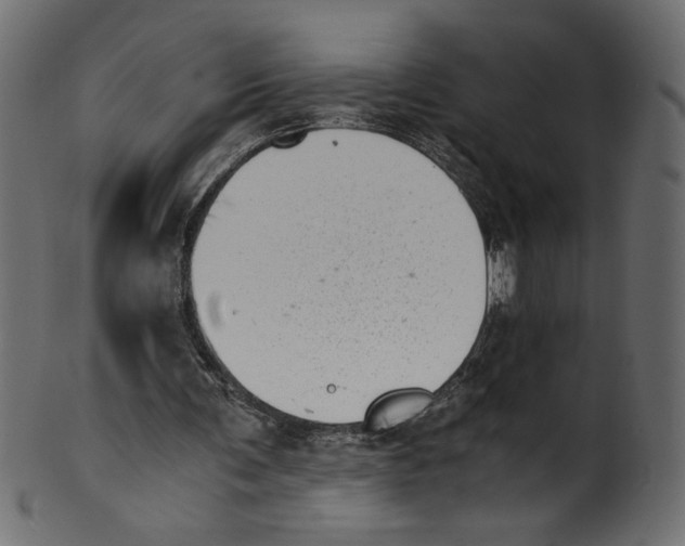 X0000100880291200807181305